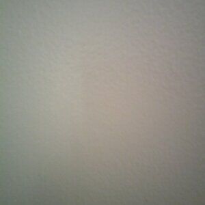 Meet the Posher, Chaya sheina